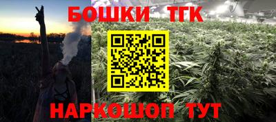 гашик Будённовск