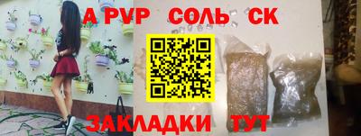 гашик Будённовск