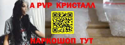 гашик Будённовск