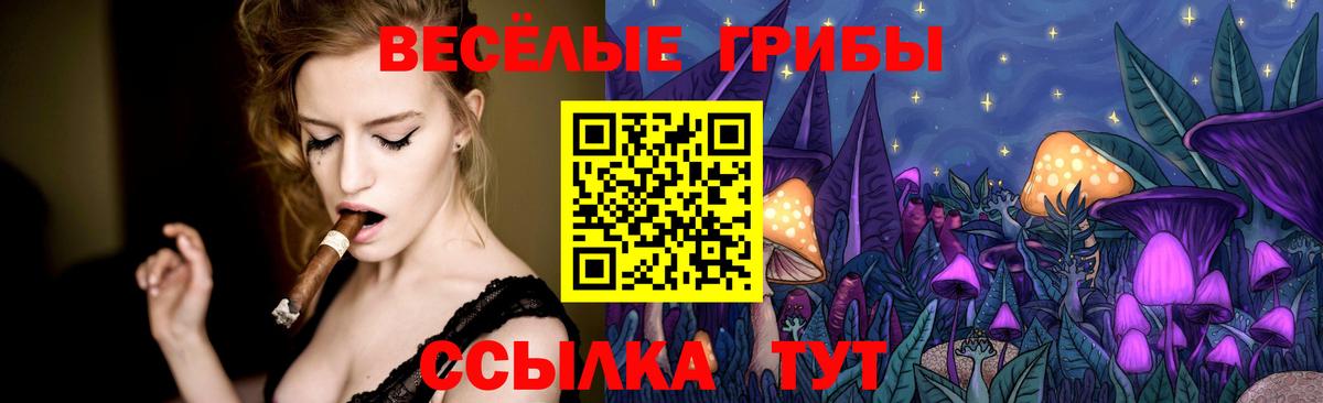 Октябрьский  Галлюциногенные грибы Cubensis  Вход с VPN  где продают наркотики  Галлюциногенные грибы GOLDEN TEACHER 