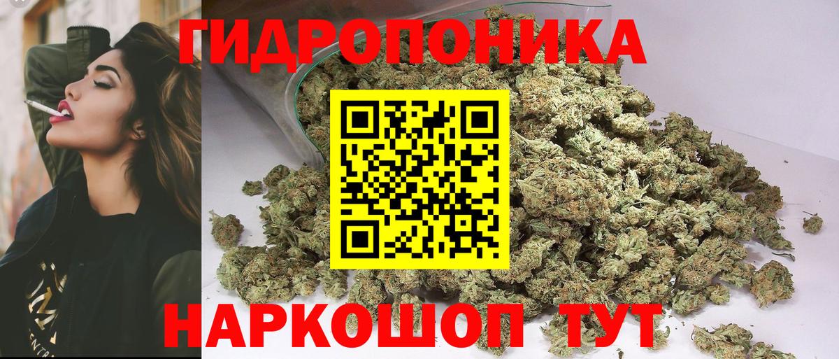 Конопля семена Октябрьский